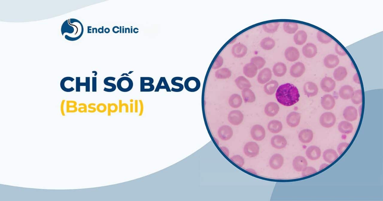 BASO trong xét nghiệm máu là gì? Chỉ số BASO bất thường cảnh báo bệnh lý gì?