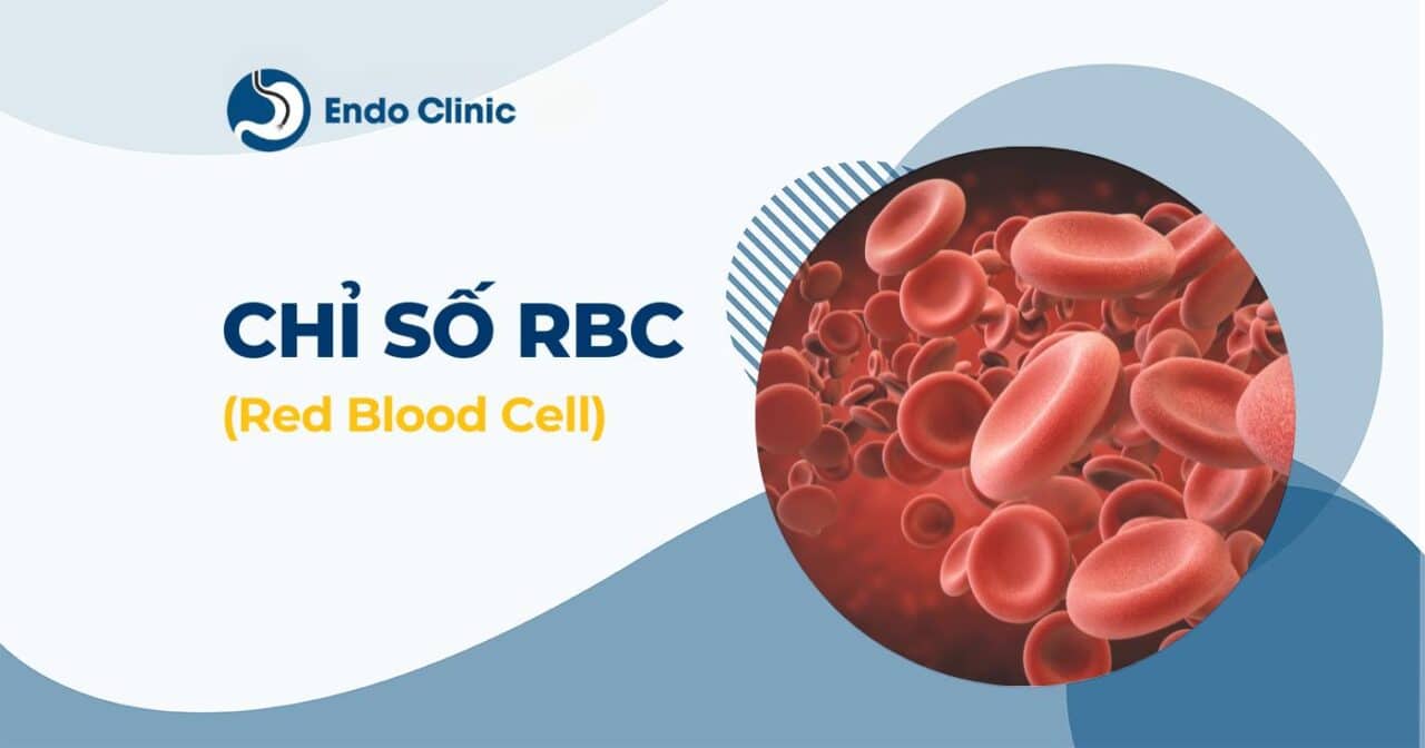 Chỉ số RBC là gì? Công thức máu RBC cao trong máu nguy hiểm không?