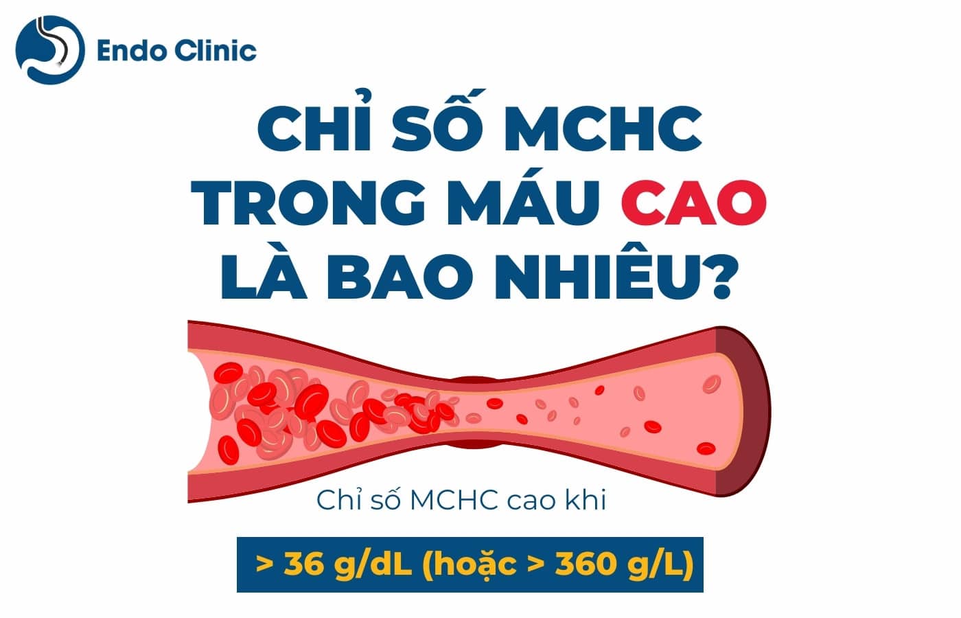 Chỉ số MCHC trong xét nghiệm máu tăng cao là bao nhiêu