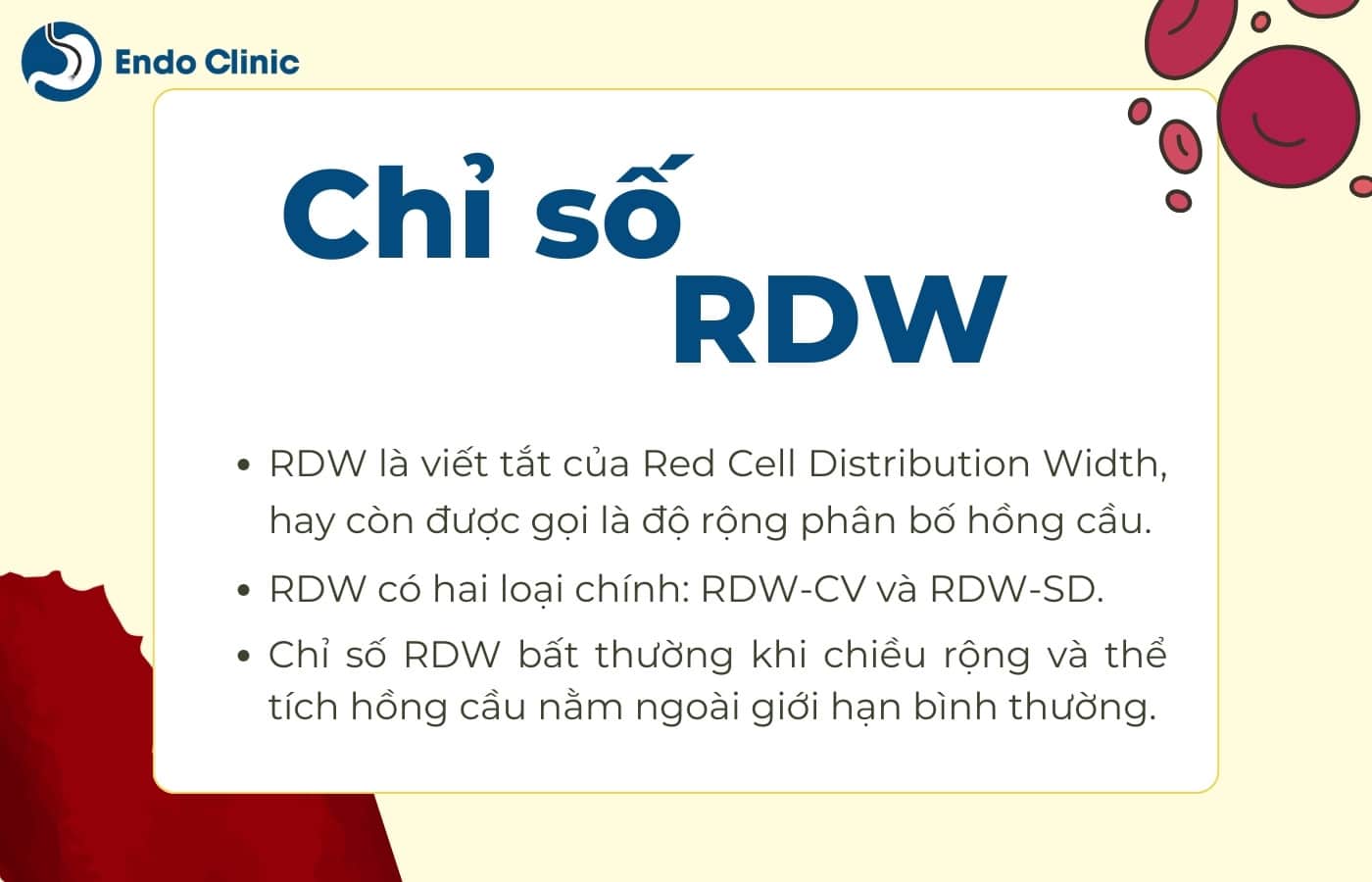 Tổng quản chỉ số RDW trong xét nghiệm công thức máu