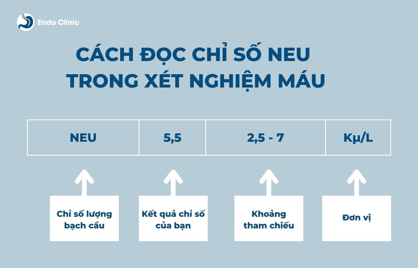 Cách đọc chỉ số NEU trong xét nghiệm máu là gì?