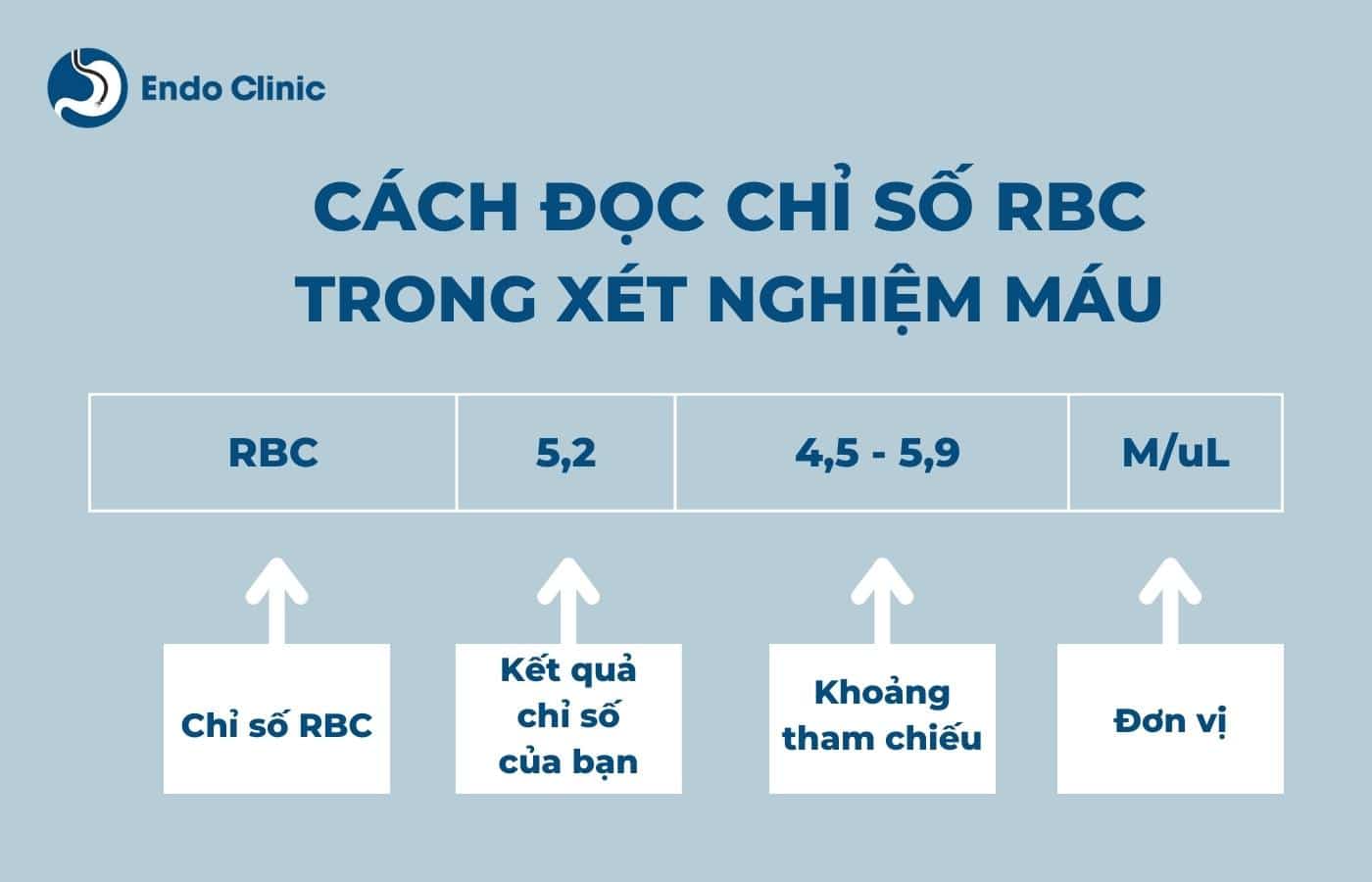 Cách đọc chỉ số RBC trong xét nghiệm máu là gì?