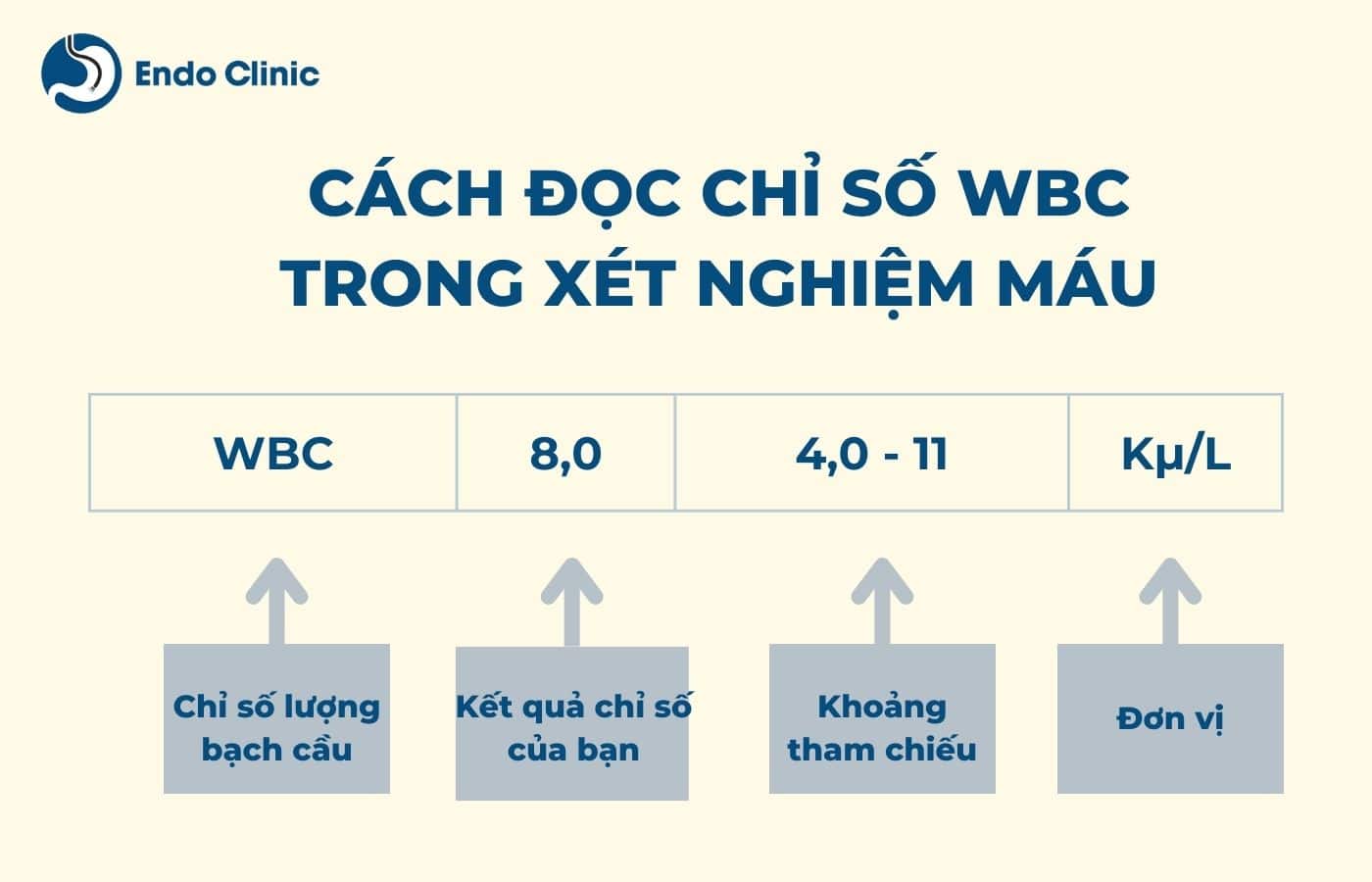 Cách đọc chỉ số WBC trong xét nghiệm máu là gì?