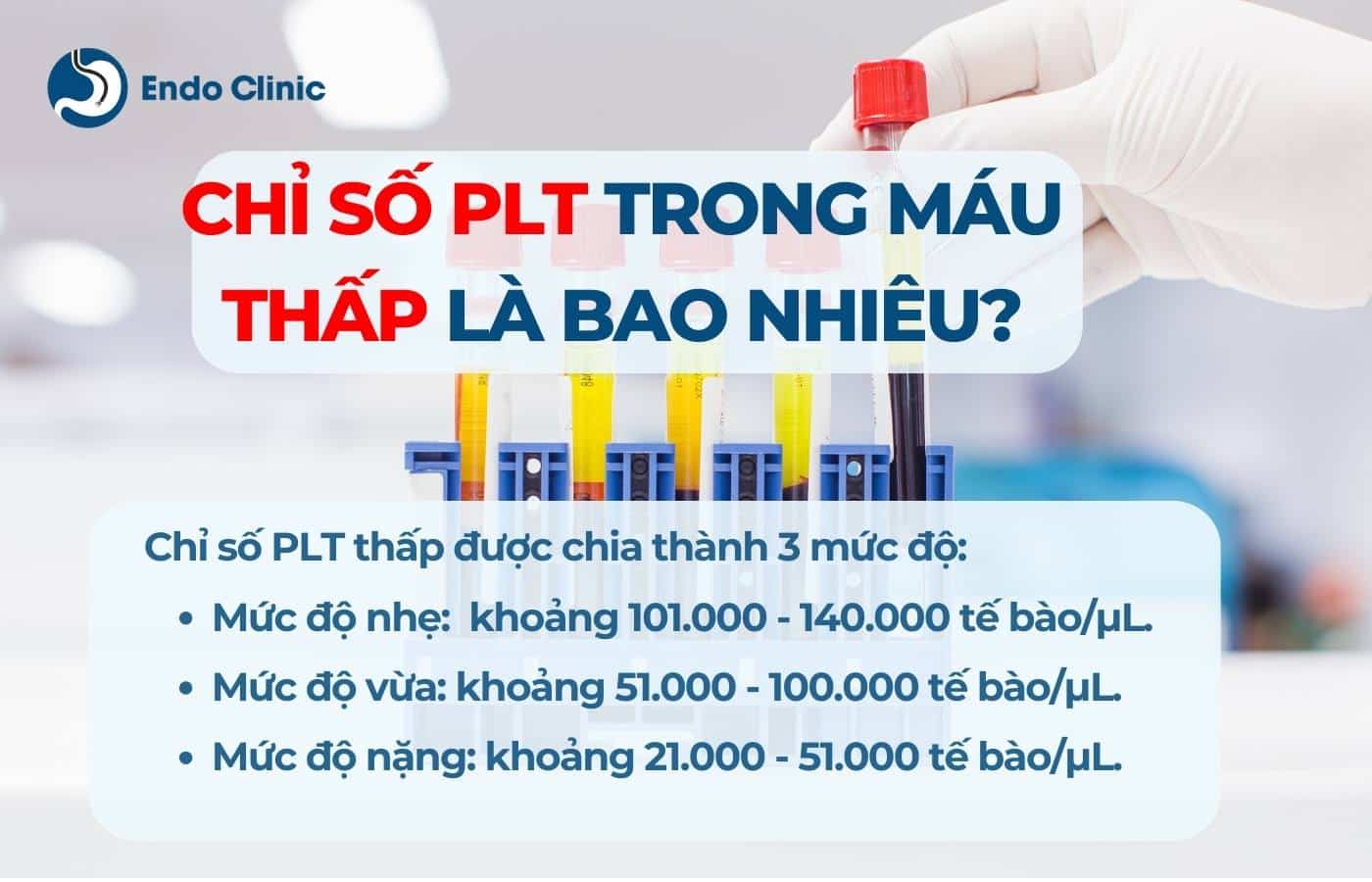 Chỉ số PLT trong máu thấp là bao nhiêu?