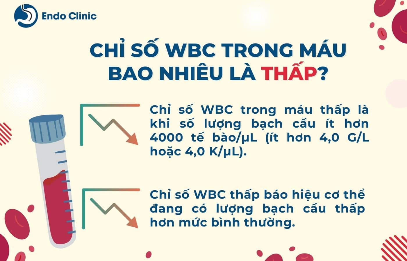 Chỉ số WBC trong máu bao nhiêu là thấp?