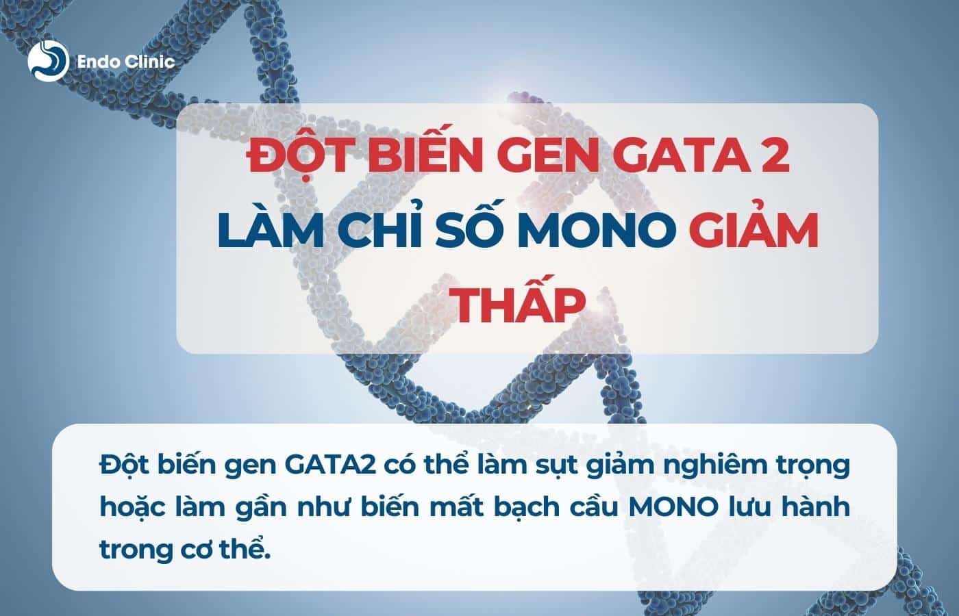 Đột biến gen GATA2