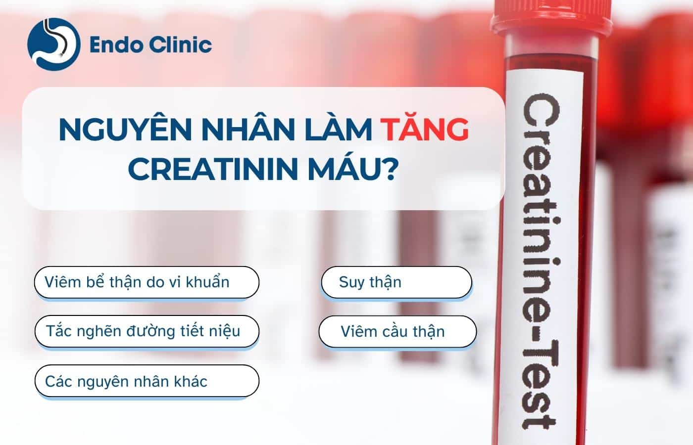 Nguyên nhân làm tăng creatinin máu?