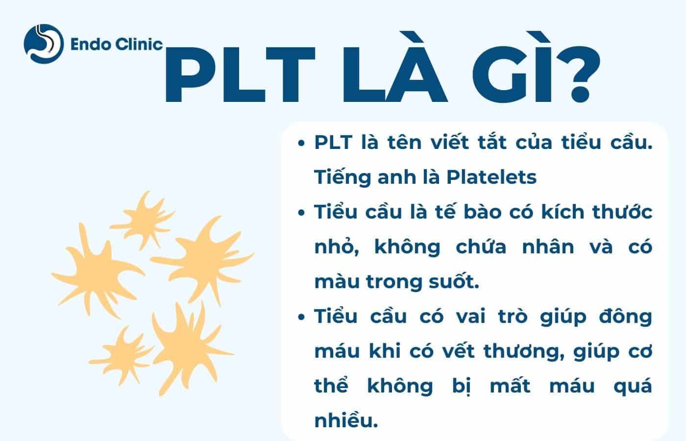 PLT là gì?