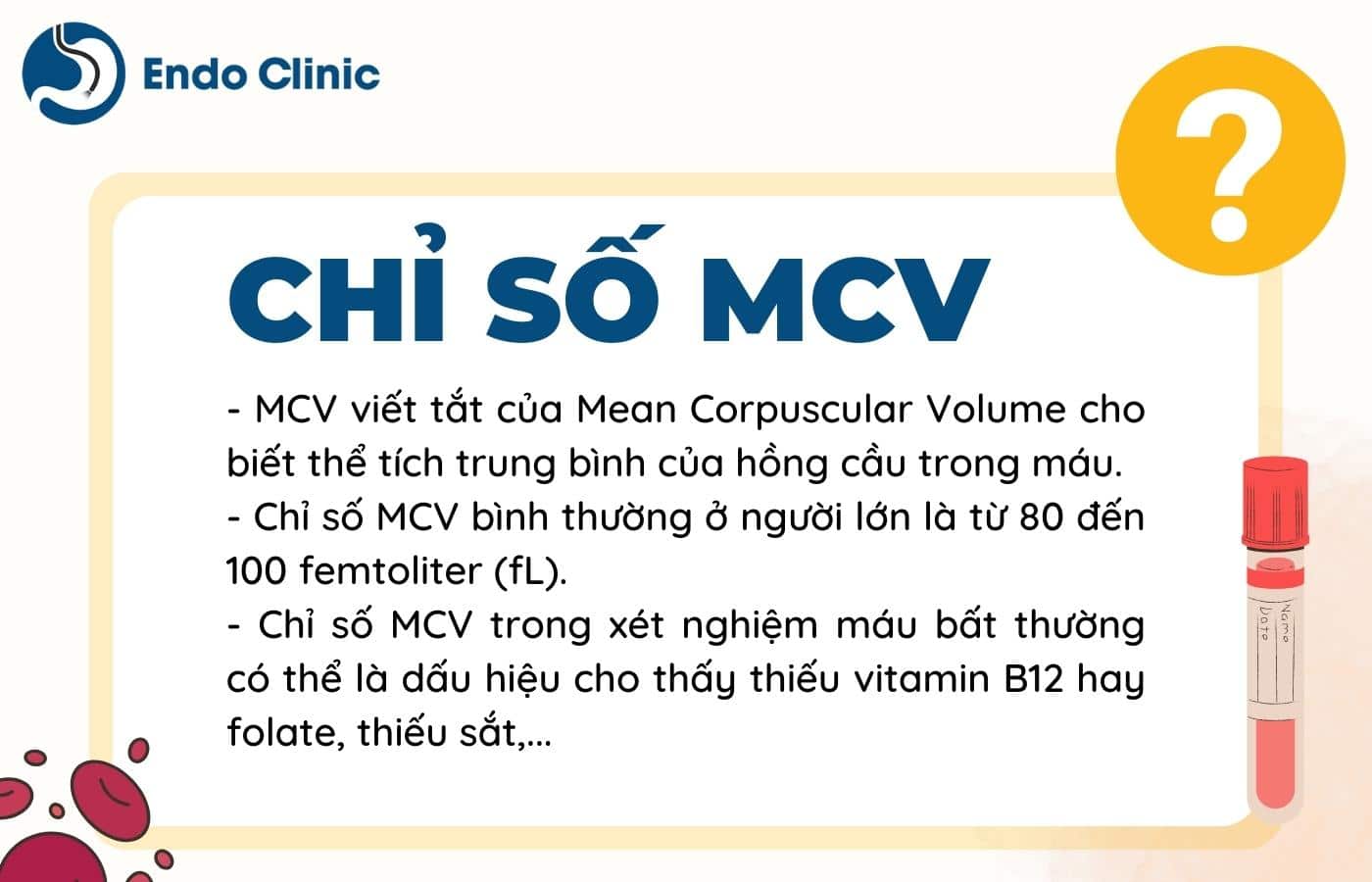 Tổng quan về chỉ số MCV trong xét nghiệm máu